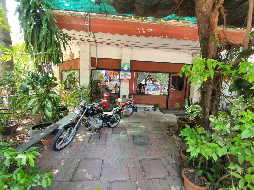 ซินเซีย