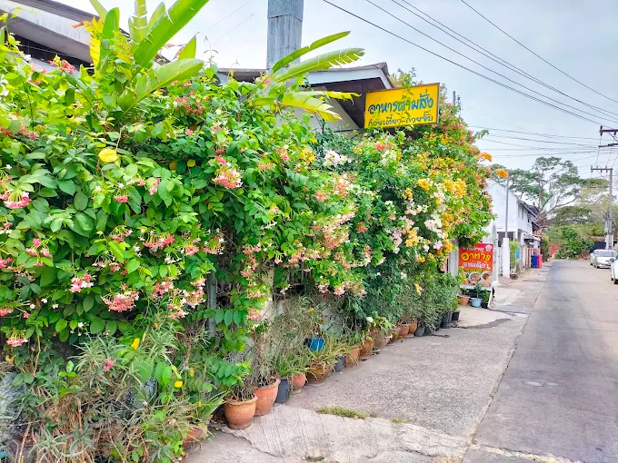 ร้านยายอาหารจานเดียว